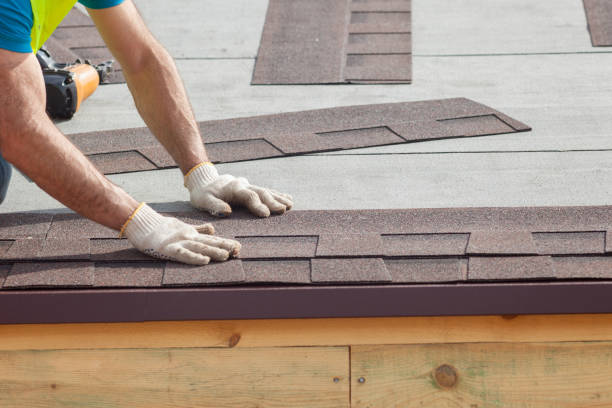 Professional Roofing services in Hayden, CO